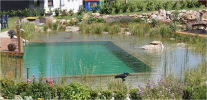 Gartengestaltung-Schwimmteich